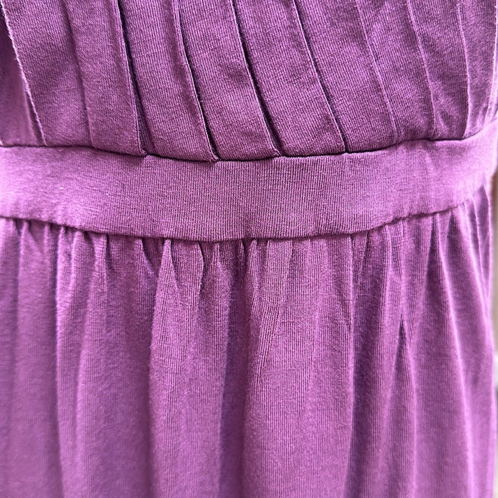 Barney’s Dress - Picture 3 of 4